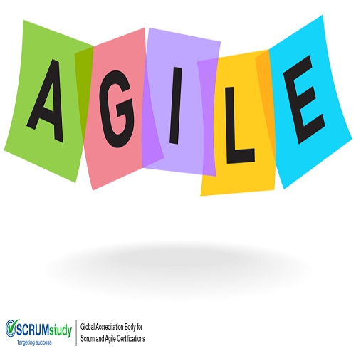 Online Agile Expert Certified